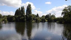 Fancy a spot of fishing - even as a first-timer?