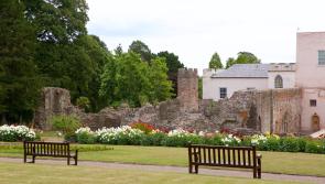 It's all happening at the Abbey this summer
