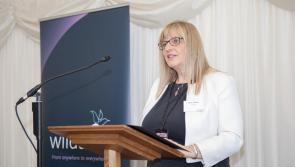 That Gigabit broadband could be worth a bit - £1billion for Devon!