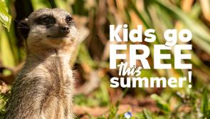 Zoo celebrates summer with kids go free offer