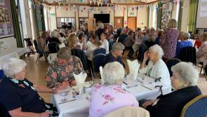Torbay Hospital nurses past and present come together for annual reunion