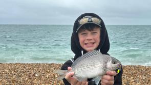 Junior anglers take the limelight