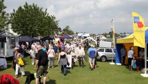Babbacombe Fayre is back with fun for all including dogs and Patrick the pony