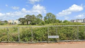 60 homes plan for Paignton site