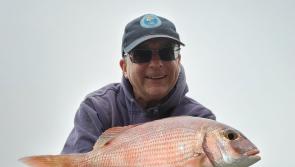 ANGLING with JOHN SHERLOCK: Club comps dominating the angling community