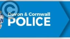 Two reported to flee after car crash in Torquay
