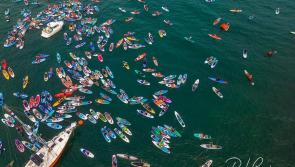 Hundreds on crest of wave for  spectacular Great Big Paddle Parade