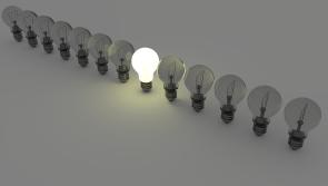 Free programme launched to help businesses reduce carbon footprint - and save money