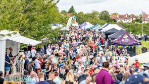 Babbacombe Fayre returns with all guns blazing - and an array of dogs 