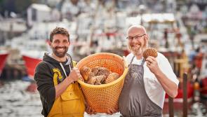 Torbay is hosting a national celebration of Seafood 