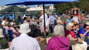 Picnic in park to bring memory cafes together - and attract new volunteers 