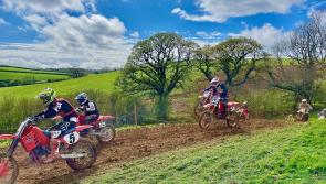 Scrambling in the sun