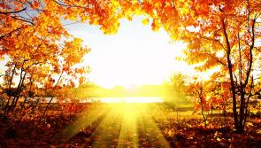 Gardening: Make most of that lingering autumn sunshine while you can