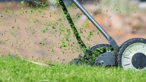 Cllr. David Thomas: Garden waste scheme hailed success after first year