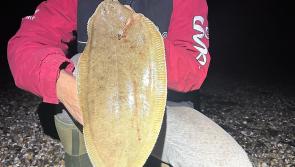 Babet changes the angling week