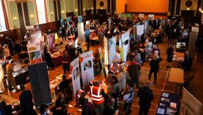 Town Hall fair is just the job