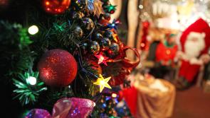 Charity Santa grotto ready for Christmas - with tickets frozen of course