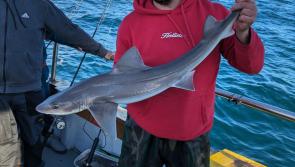 Stormy waters for the angling community