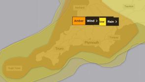 Storm Ciaran threat closes 300 Devon schools