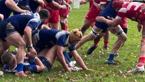 Perfect Paignton performance at the league leaders
