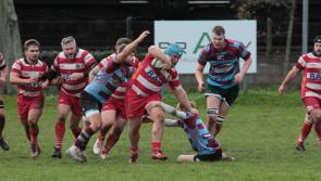 Paignton Cherries continue their fine form
