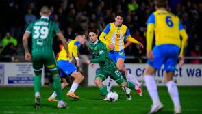 Torquay United turn to the Trophy today