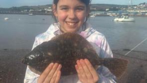 Flounder Championships attract some top anglers to River Teign