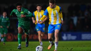 Depleted Gulls tick all the boxes for  Gary