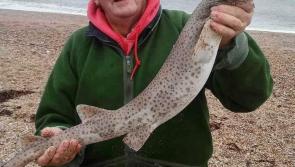 Slapton serves up an angling feast