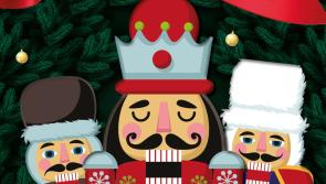 South Devon police launch Christmas crime campaign