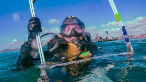 Seagrass saviours in line for honour