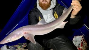 Autumn success on charter boats