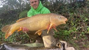 Threats to sea angling