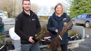 40,000 trees will help us get to root of land run-off issues