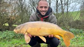 Reviewing a year of mixed fortunes