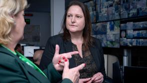 Alison Hernandez: Bats, battering rams and budgets
