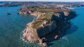 £2m grant to save Torbay's rarest bugs