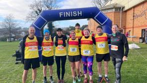 Magnificent seven invited to run for county