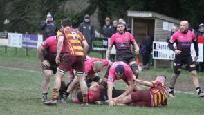 Brilliant Brixham pile on the tries