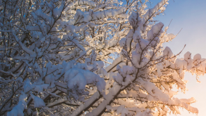 Cold snap forecasted with snow to hit parts of United Kingdom