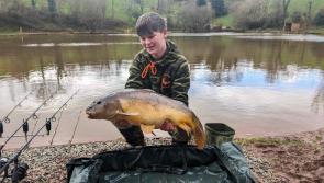 Cracking carp at Newbarn Angling Centre 