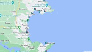 Torbay hit by sewage pollution alert after heavy rain