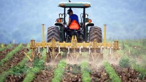 Anthony Mangnall on what more we can do to support our rural and coastal producers