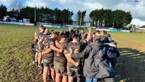 Brixham batter their way to 100 tries