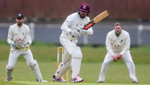 Bay cricket clubs complete merger