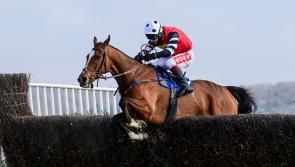 Tips for Cheltenham