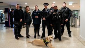 Alison Hernandez: Clear progress in our work to reach four key policing targets 