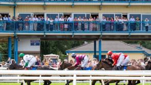 New season at Newton Races