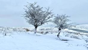 March's wild weather continues with snow on Dartmoor and warnings from the Met Office
