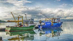 Government announces plans to cut red tape around fishing industry